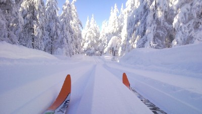 Lngdskidkning